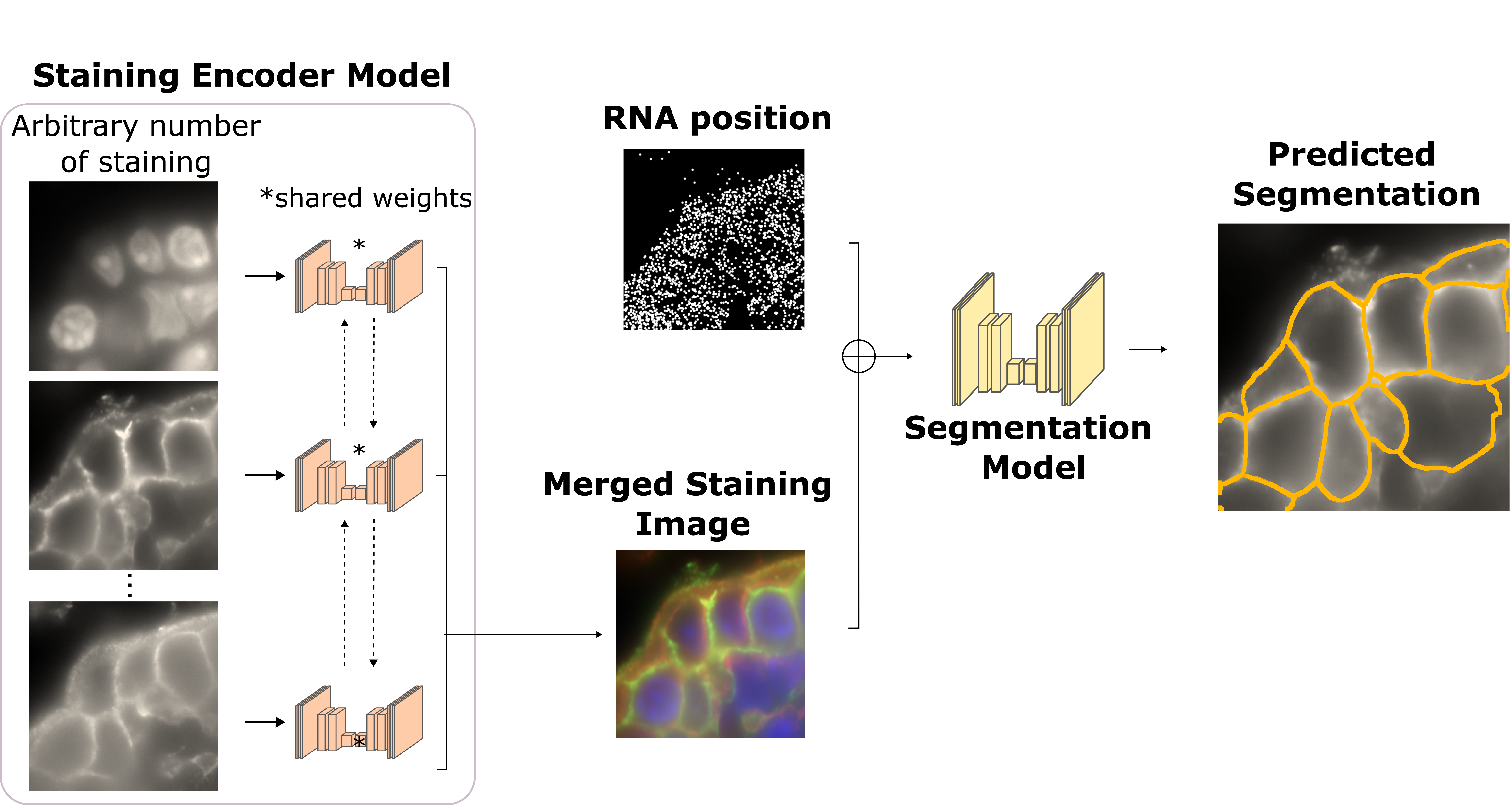 _images/overview.png