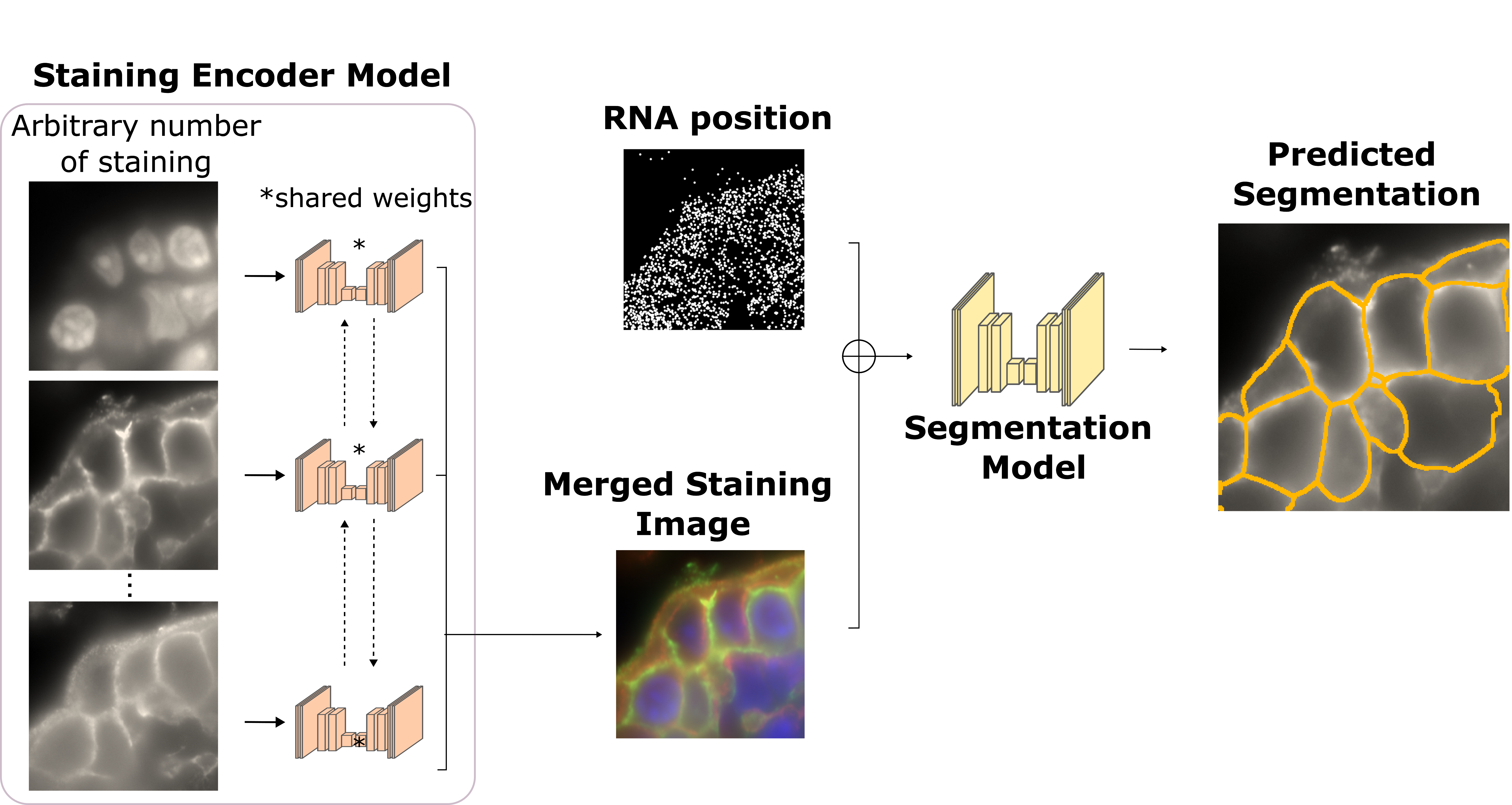 _images/overview.png